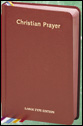 407-10.JPG